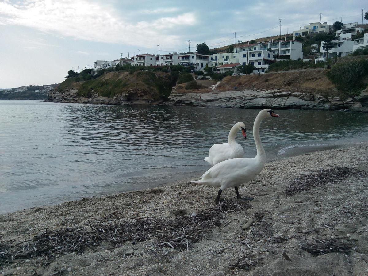 Villa Bonatsa Andros Home Батси Экстерьер фото